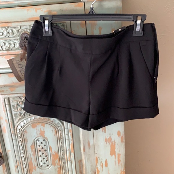 Express Pants - Express trouser shorts.